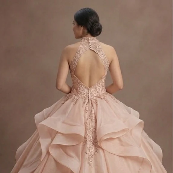 Quinceañera Ball Gown Blush Nude Organza Romantic Party - Image 5