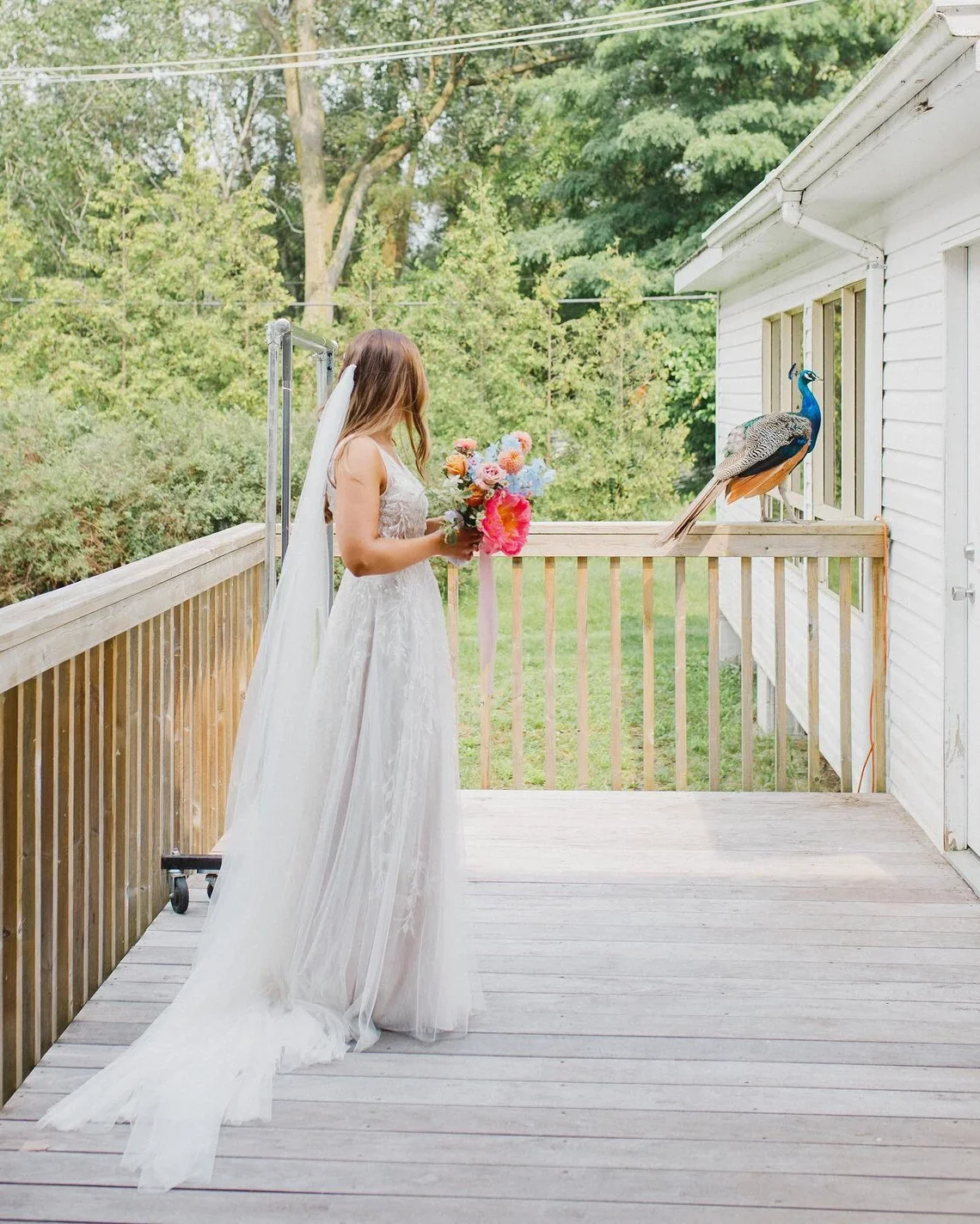 Signature Soft Long Tulle Wedding Veil with Cut Edge Simple Bridal Veil - Image 5