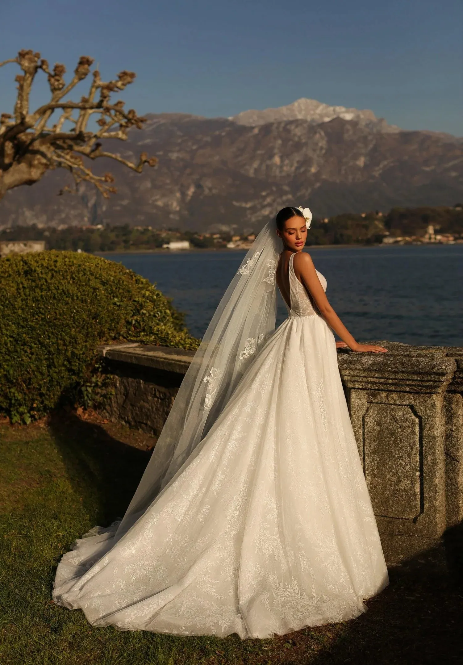 Vintage Backless Wedding Gowns for Women Tulle Sleeveless Deep V Neck Appliques A Line Court Train Customised - Image 2