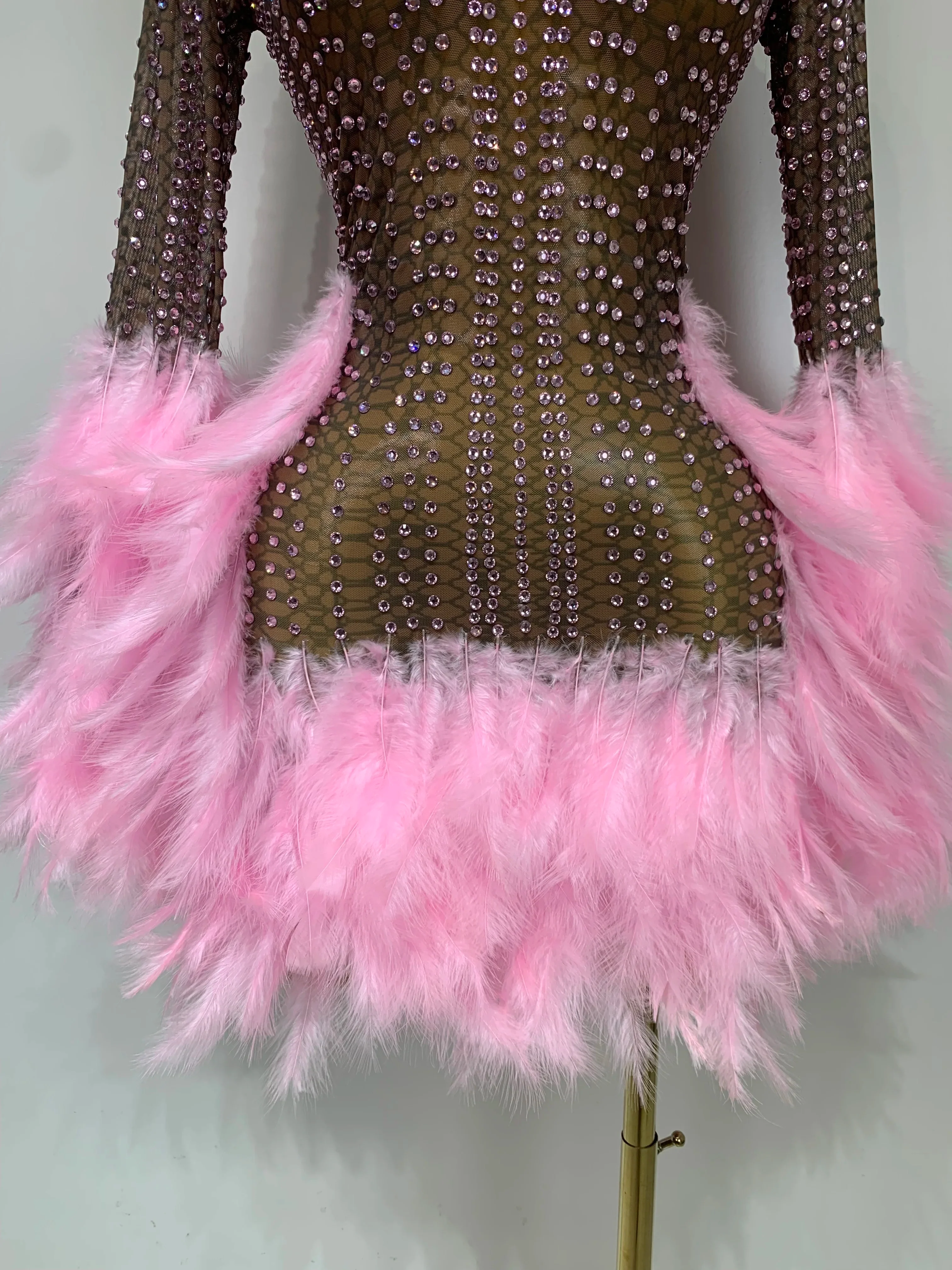 Women Sexy Transparent Stretch Mesh Feathers Stage Performance Costume Singer Nightclub Evening Party Luxury Birthday Dress - Image 6